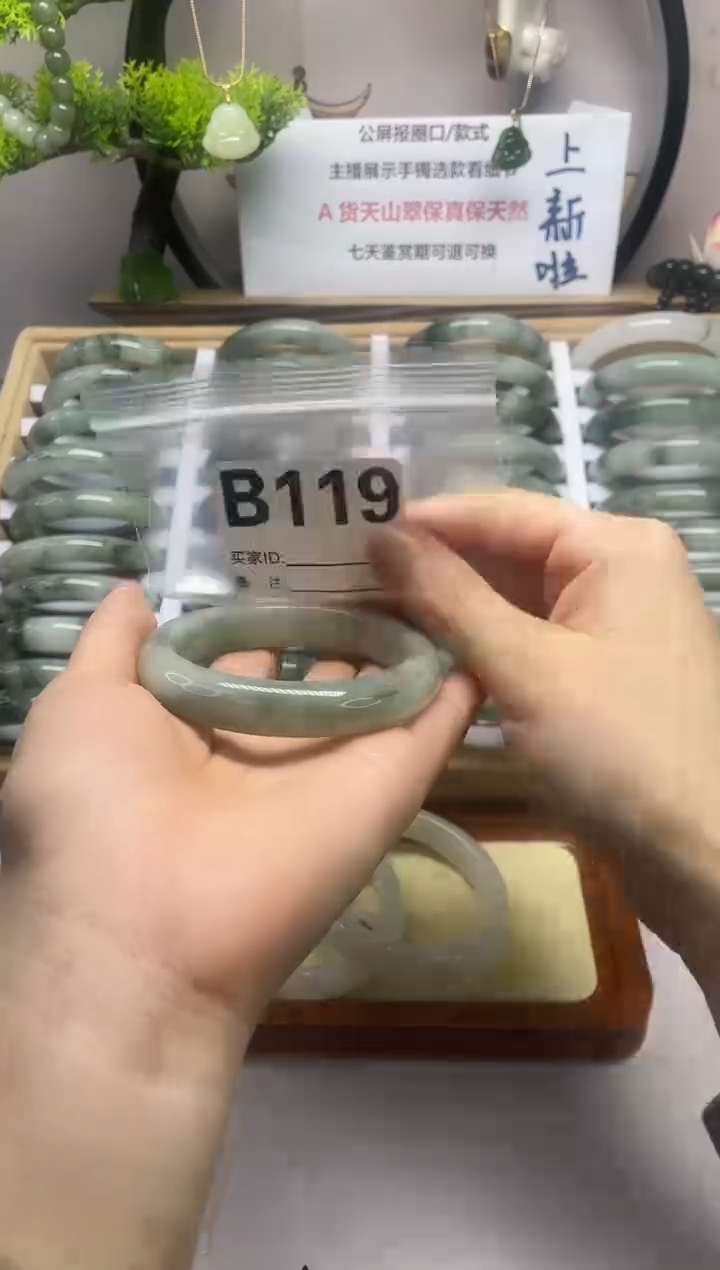 【闪购商品】石英质玉（天山翠）手镯未镶嵌b119