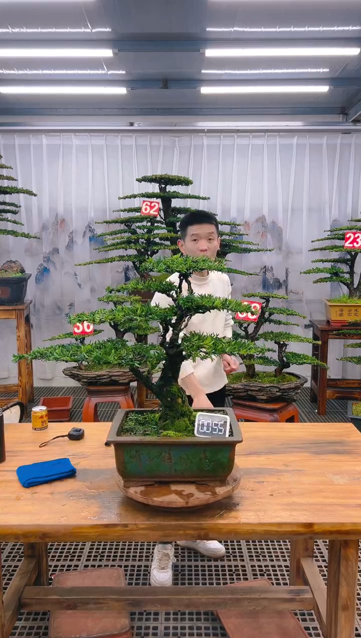 【闪购商品】紫砂精品盆景直播间一物一拍