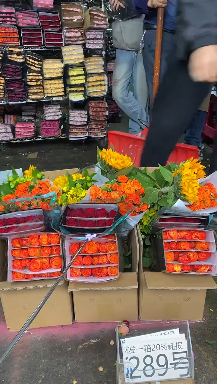 289号♥含20%耗损发一箱