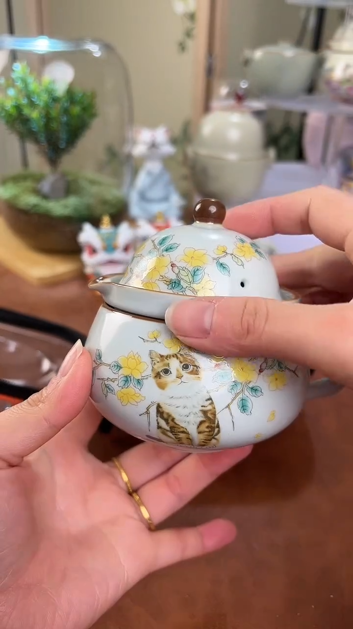 【闪购商品】老实人茶具铺快客