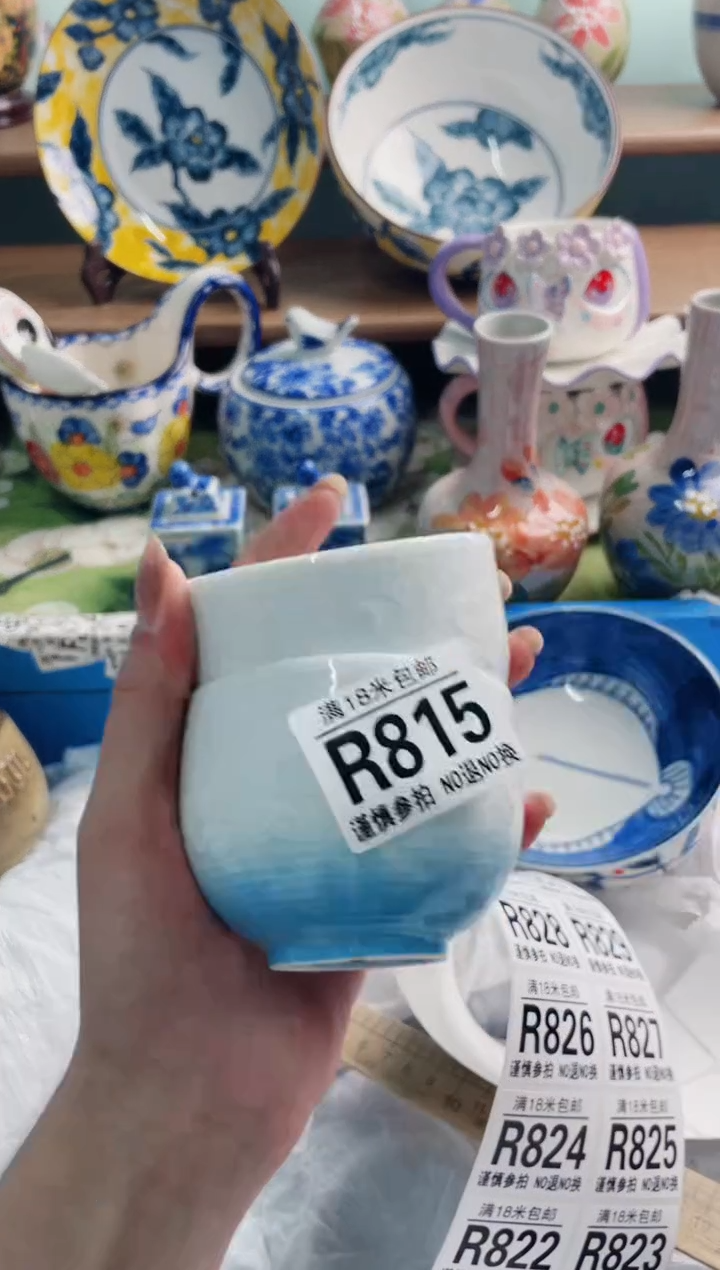 陶瓷淡*风R815******** 