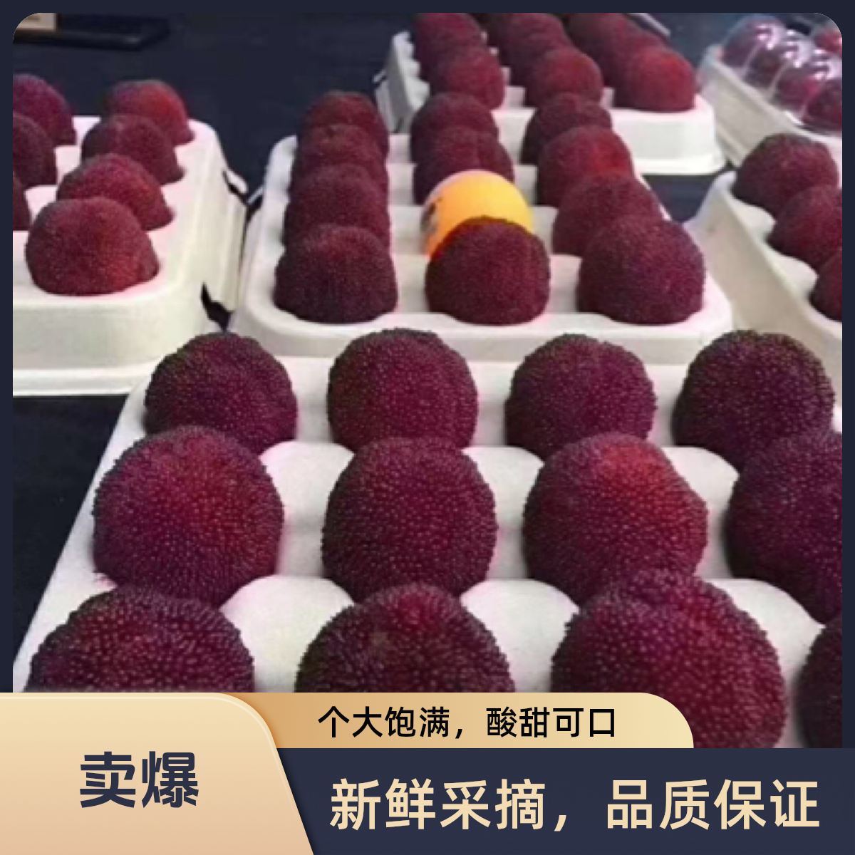 【买就送】正宗仙居东魁11A杨梅新鲜水果产地现摘酸甜鲜果