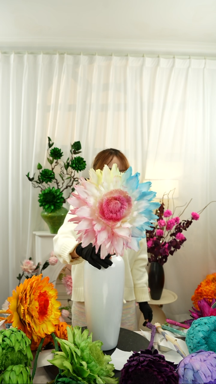 永生洋蓟  霸王花一个头微瑕 【浅彩虹】A15