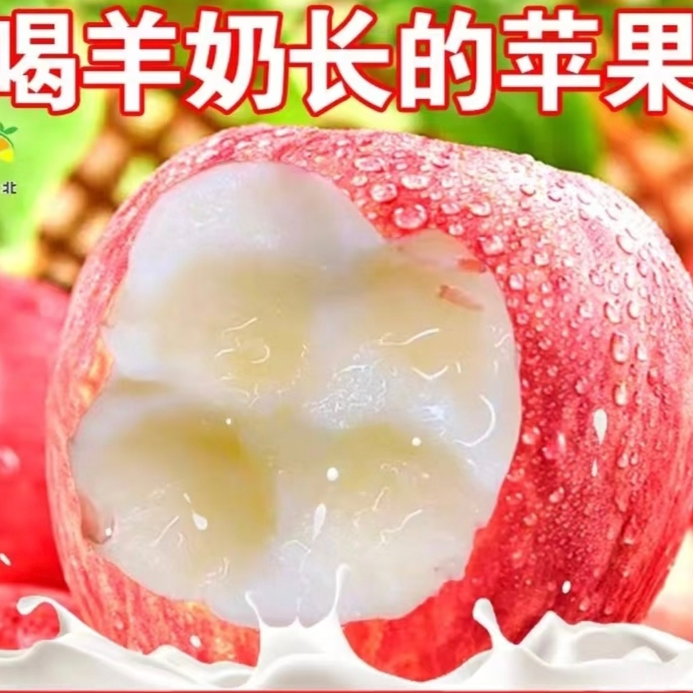 羊奶苹果山西省
