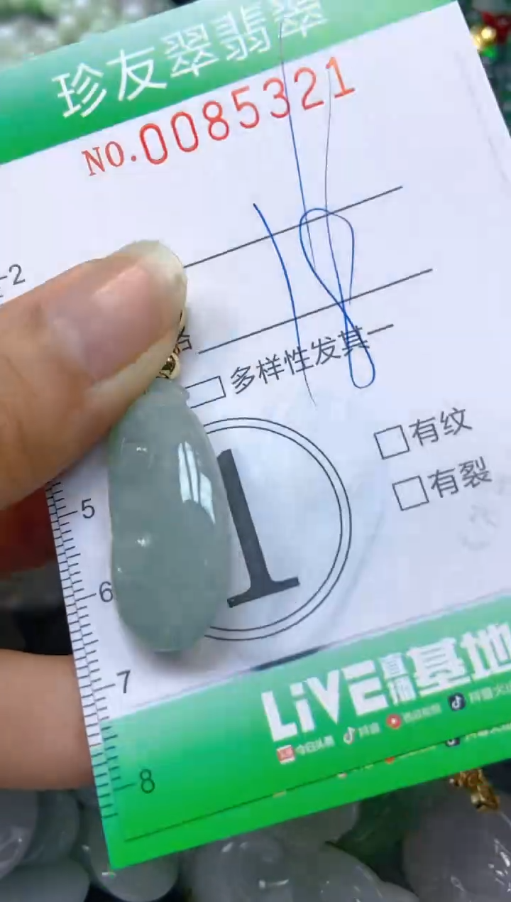 【闪购商品】翡翠颈饰未镶嵌闪购0085321