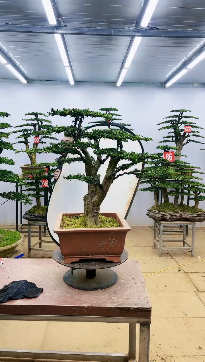 【闪购商品】一物一拍，所见即所得