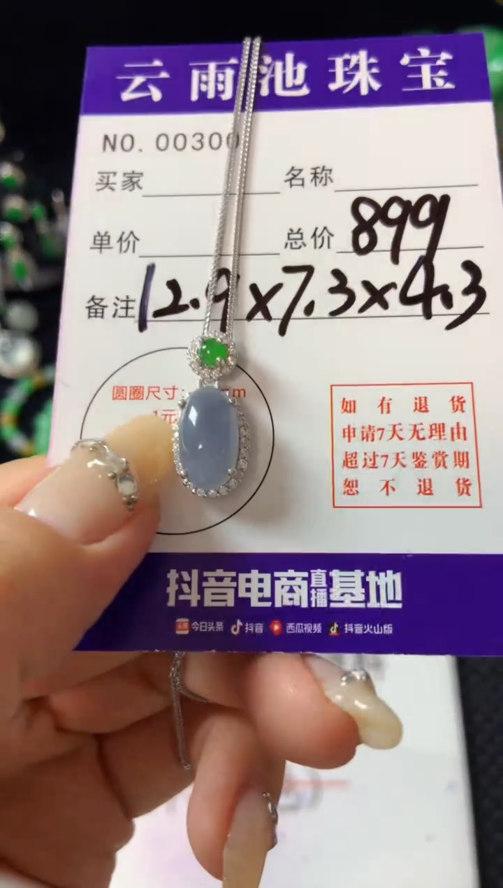 【闪购商品】翡翠颈饰银S925镶嵌翡翠
