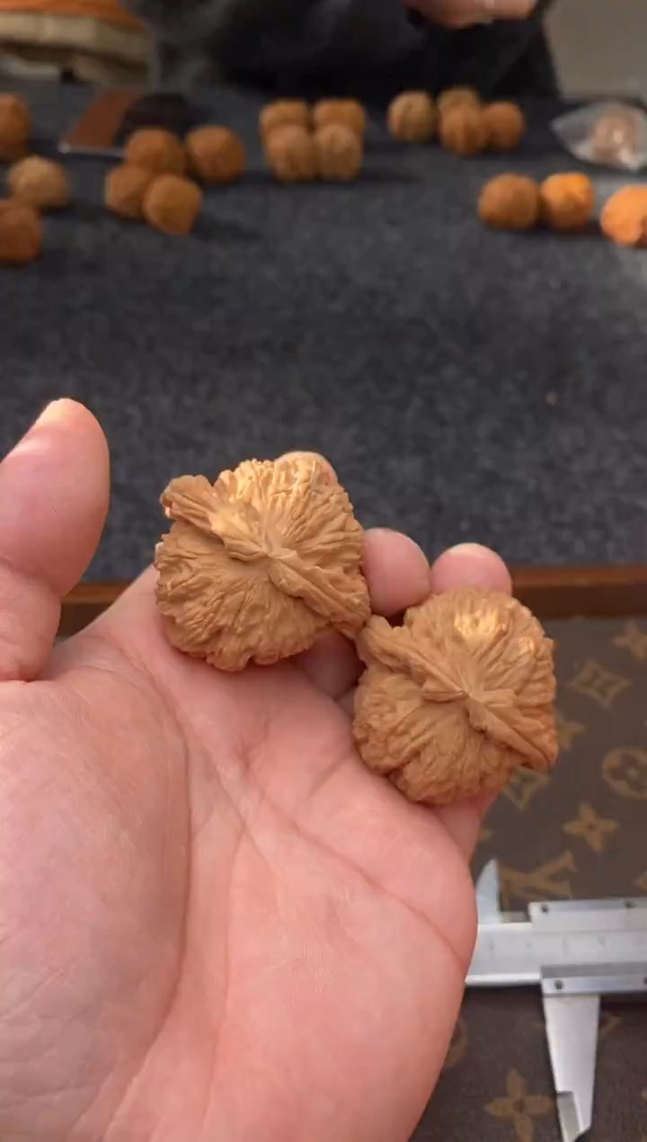 把件文玩核桃B185号44尺白狮子全品