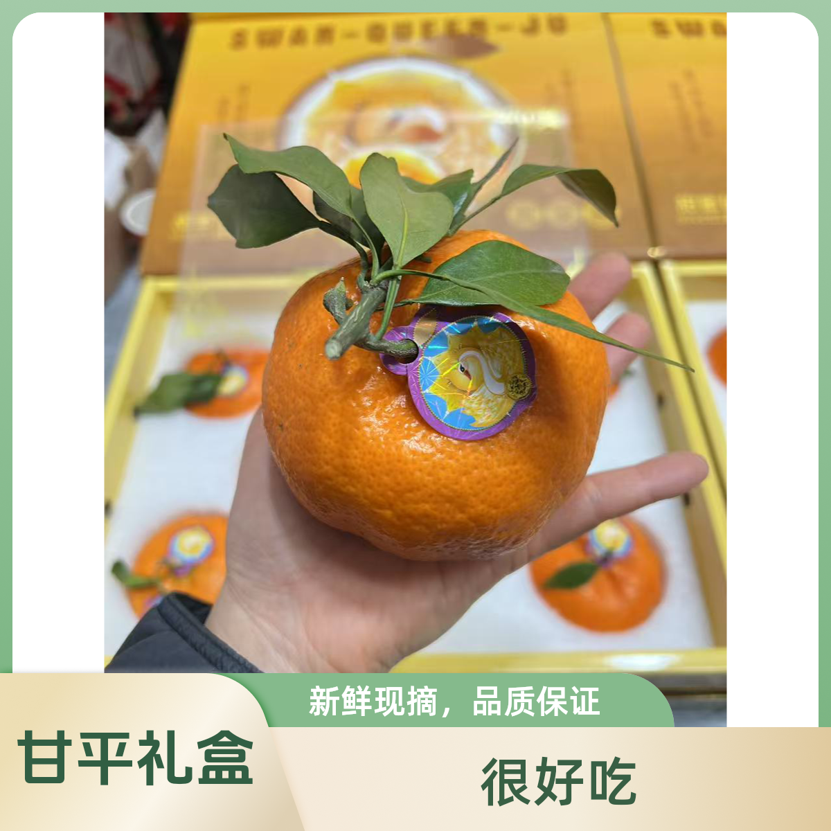 甘平特大果巨好吃-送人自吃都哇塞-非普通的货哦云南省