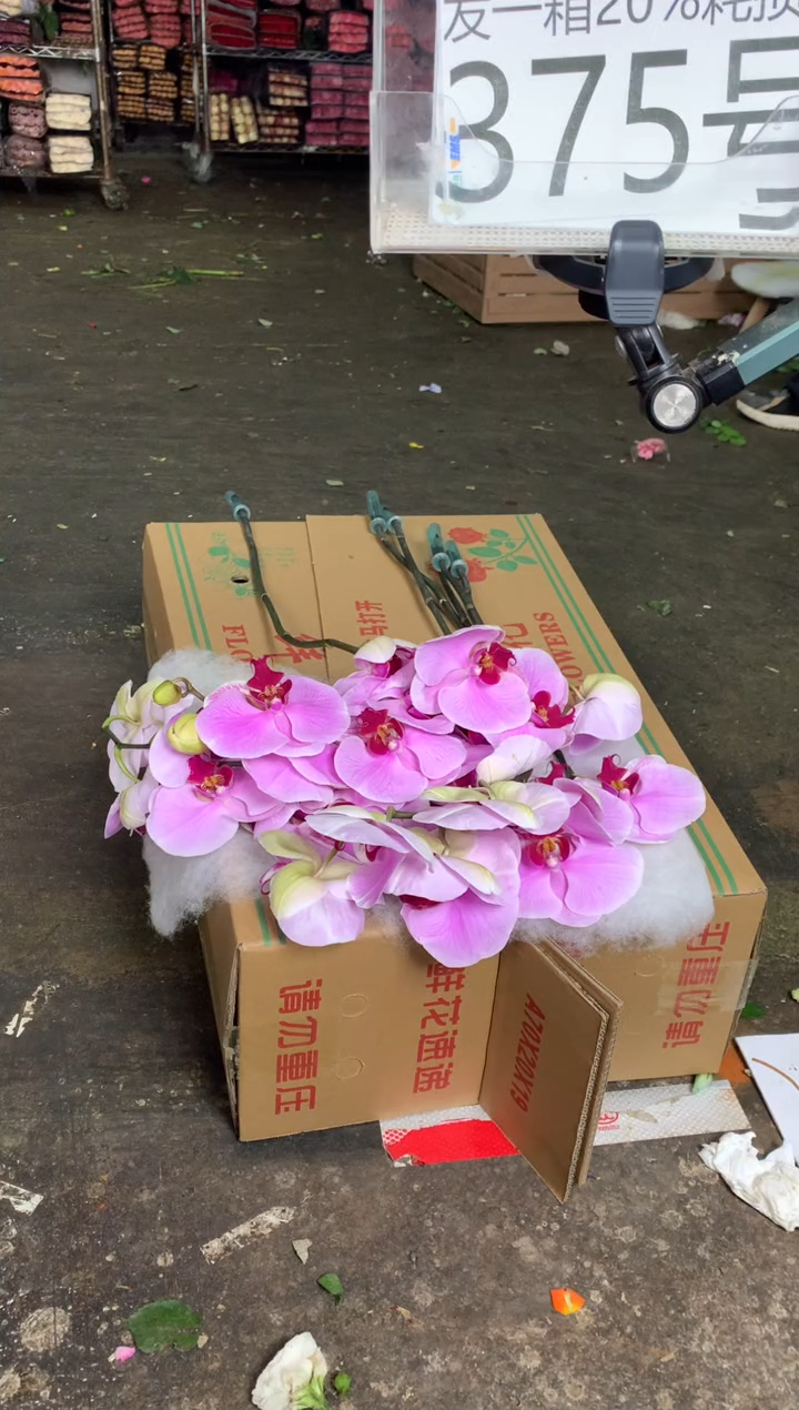 375/7号♥含20%耗损发一箱