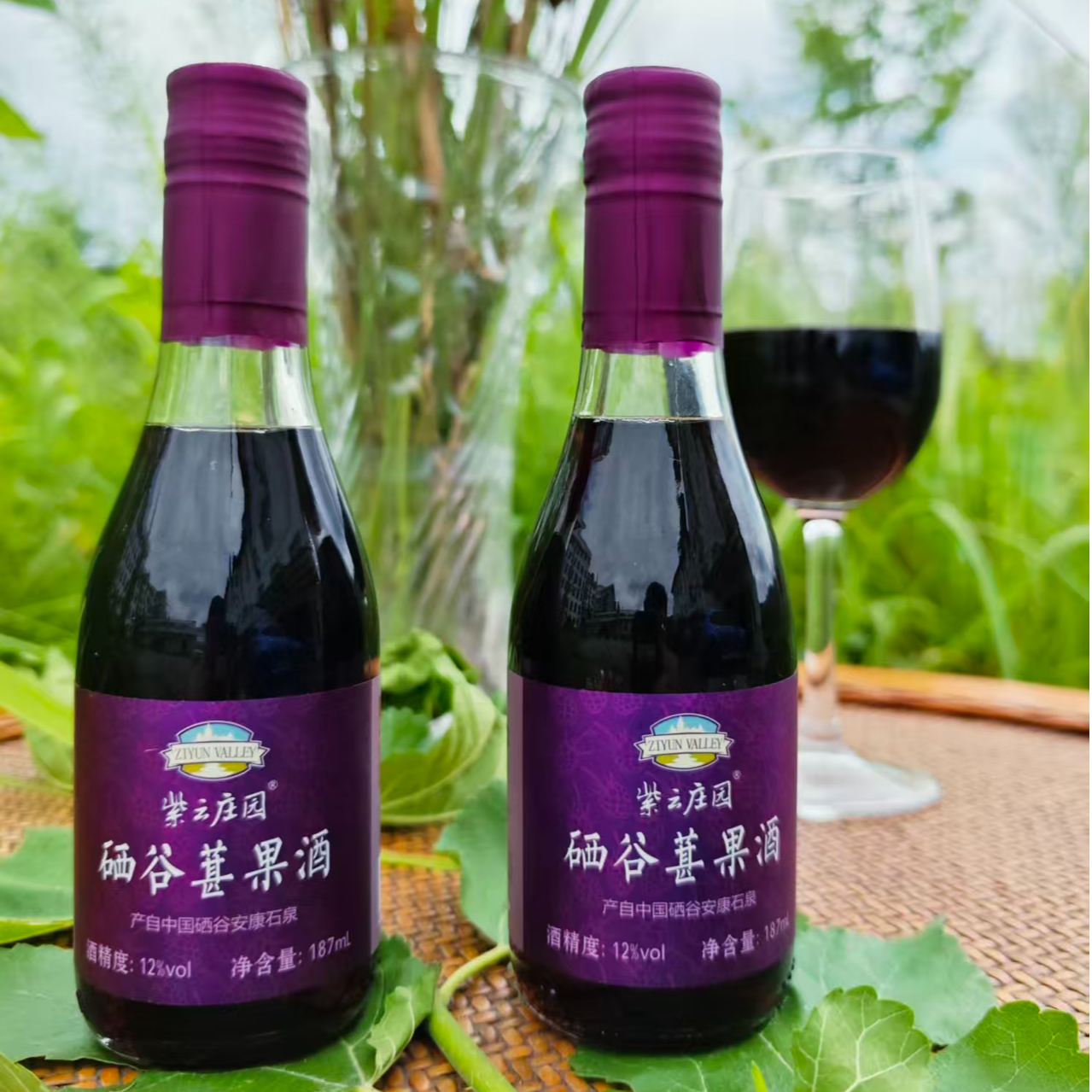 2瓶体验装 紫云庄园 硒谷桑果酒 187ml/瓶 