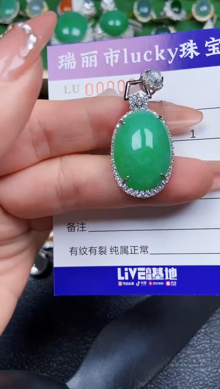 【闪购商品】翡翠颈饰银S925镶嵌0205