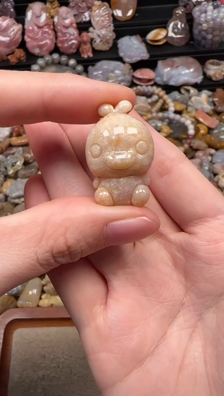 颈饰未镶嵌硅化珊瑚（珊瑚玉）262