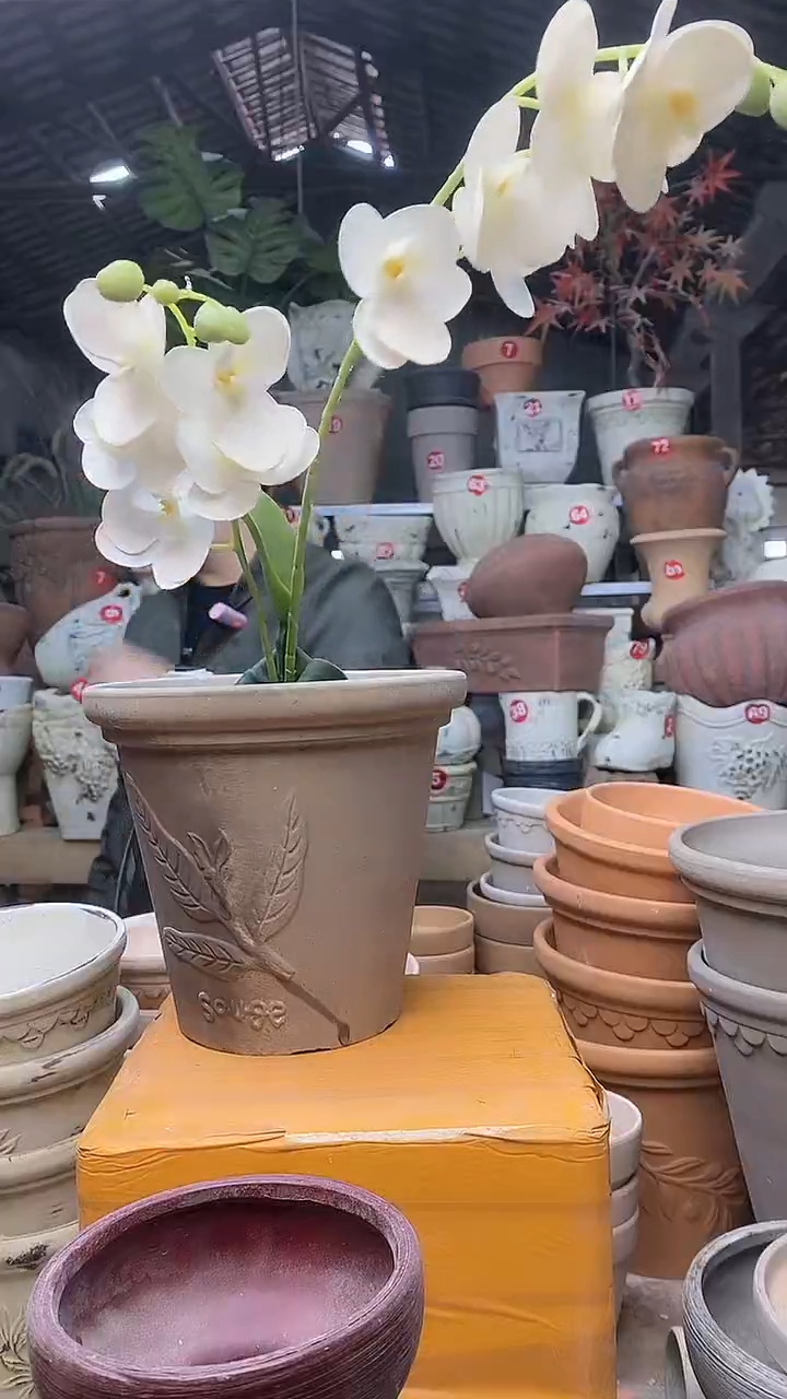 【闪购商品】缸1个20*18/灰/陶香草无托无托