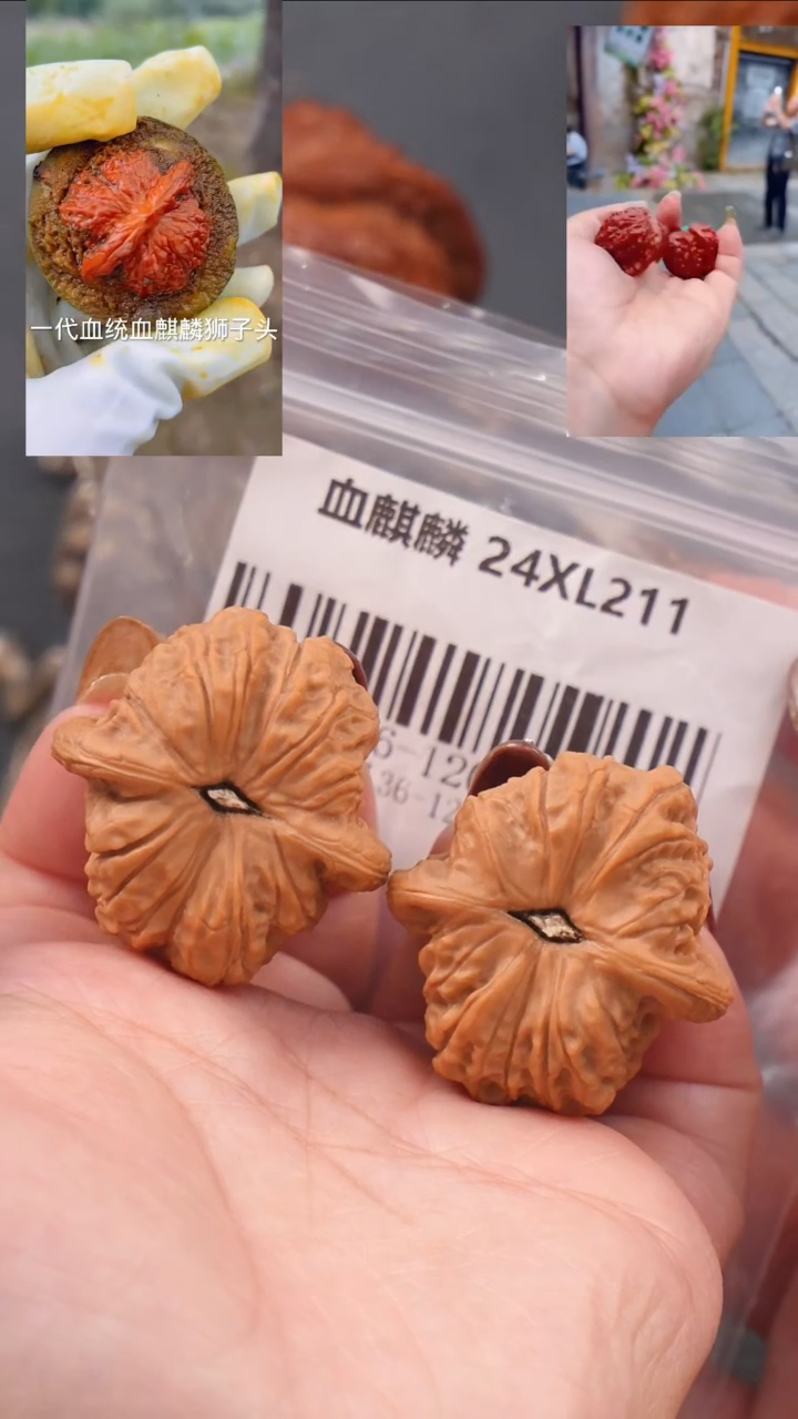 【闪购商品】文玩核桃吊坠36血麒麟狮子头