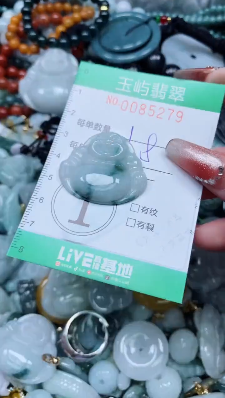 【闪购商品】翡翠颈饰未镶嵌闪购0085279