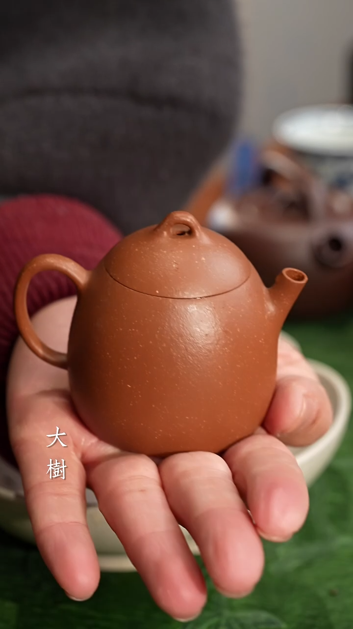【闪购商品】秦权秦权秦权秦权秦权秦权