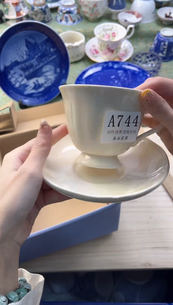 【闪购商品】瓷片          A744