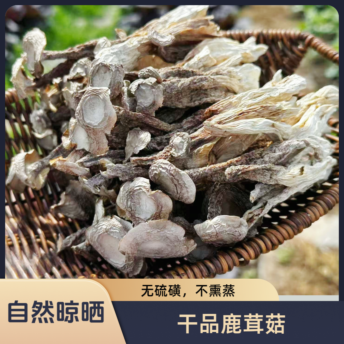 【生态】北京房山生态园区干品鹿茸菇自然晾晒50g