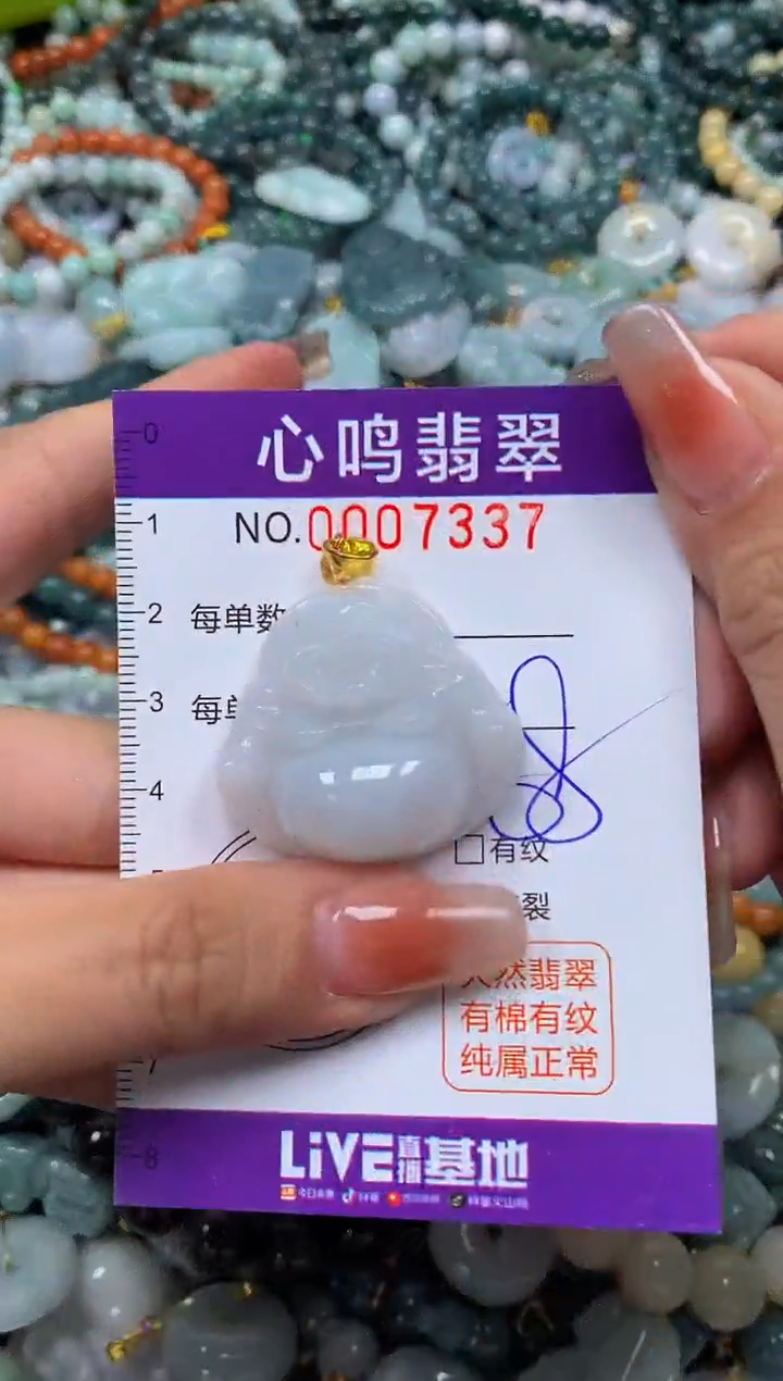 颈饰未镶嵌翡翠闪购007337