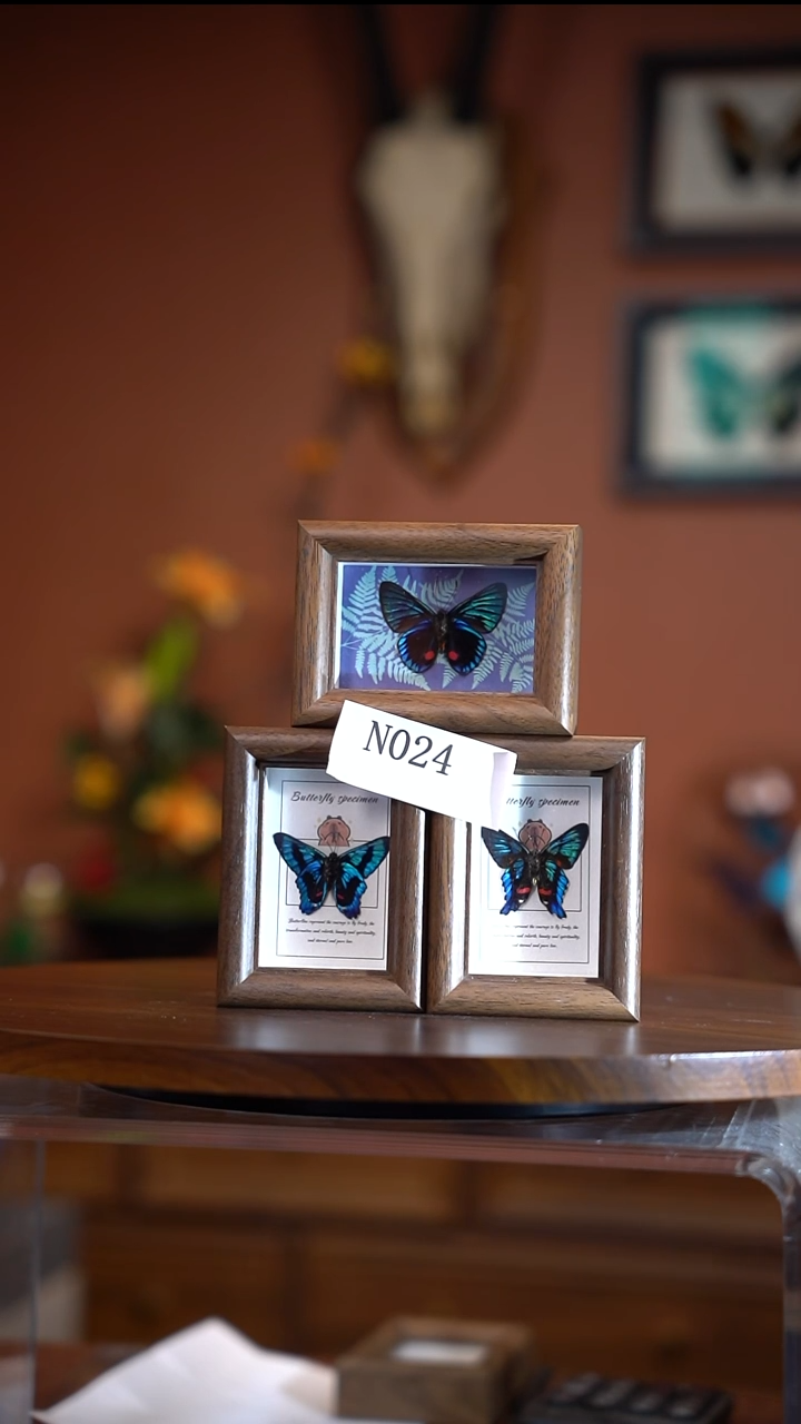 虫*飞N024   海洋之心等三个冰箱贴