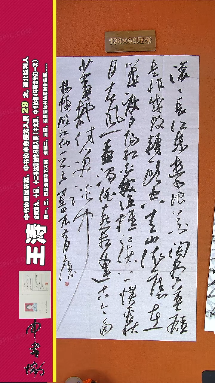 【闪购商品】书法166G王涛书法作品