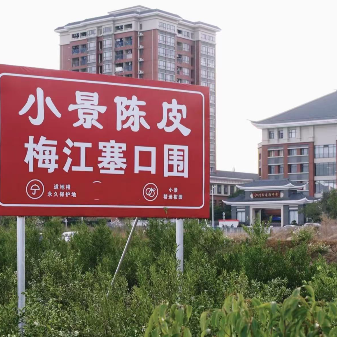 2023年【核心产区梅江塞口围】大红断皮