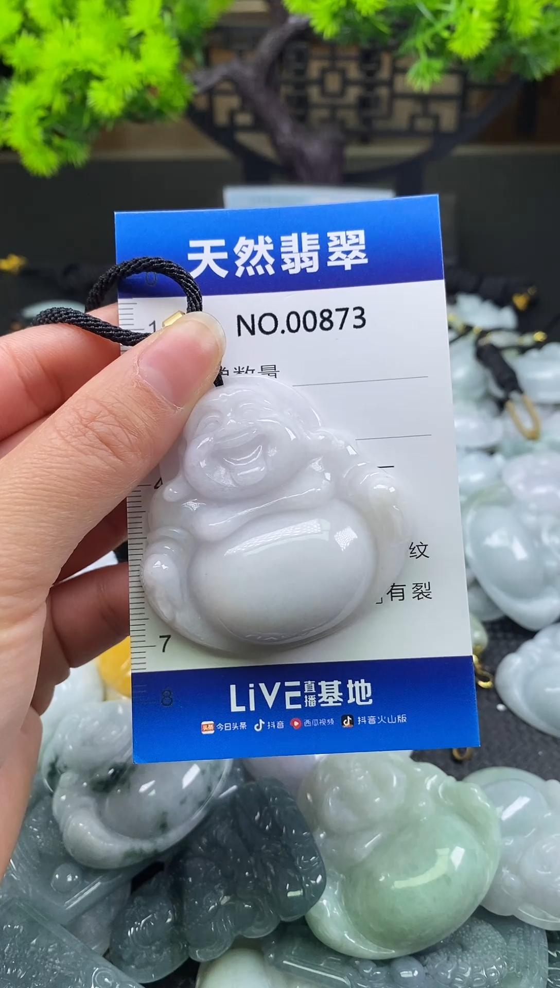 颈饰未镶嵌翡翠天然缅甸翡翠873