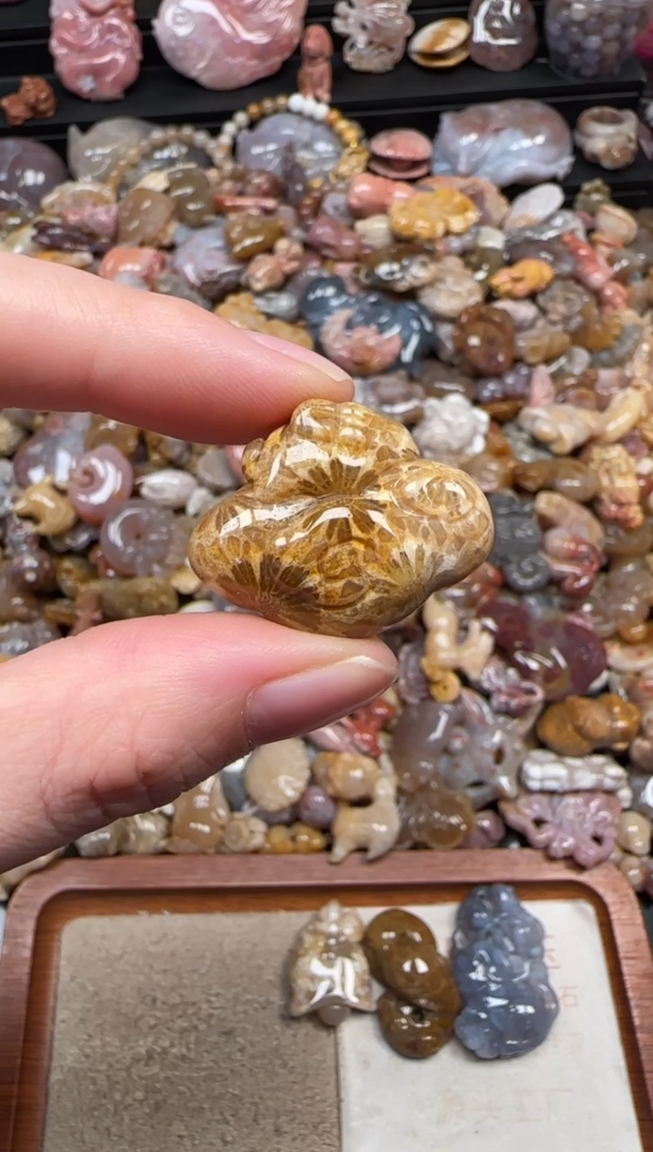 颈饰未镶嵌硅化珊瑚（珊瑚玉）387