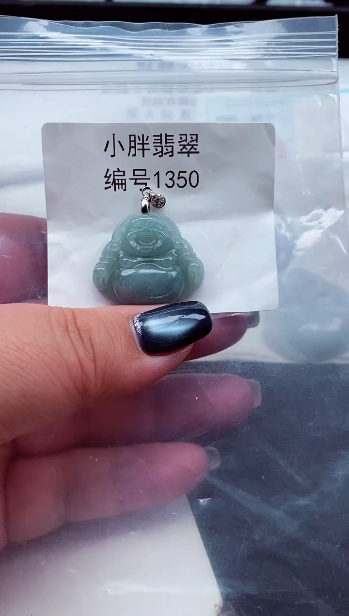 颈饰未镶嵌翡翠天然A货翡翠1350