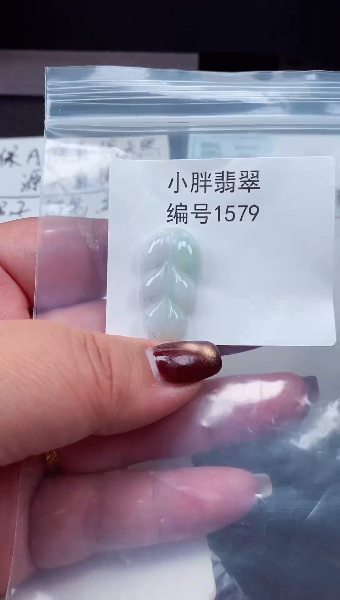 颈饰未镶嵌翡翠缅甸天然A货翡翠1579