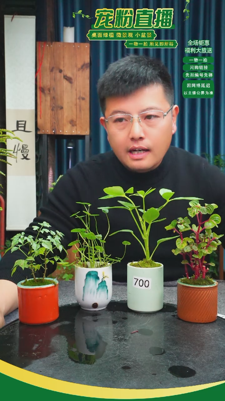 无花朵没**求苔藓微景观700号