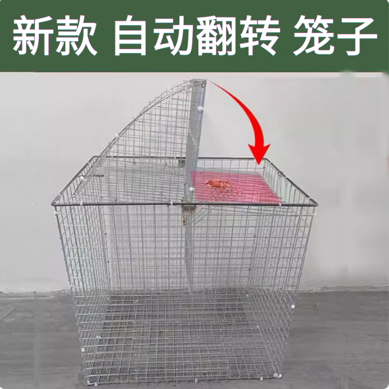 包邮笼子家用鸽笼新款训放笼旋转笼子训专用鸽笼专用折叠鸽子笼子