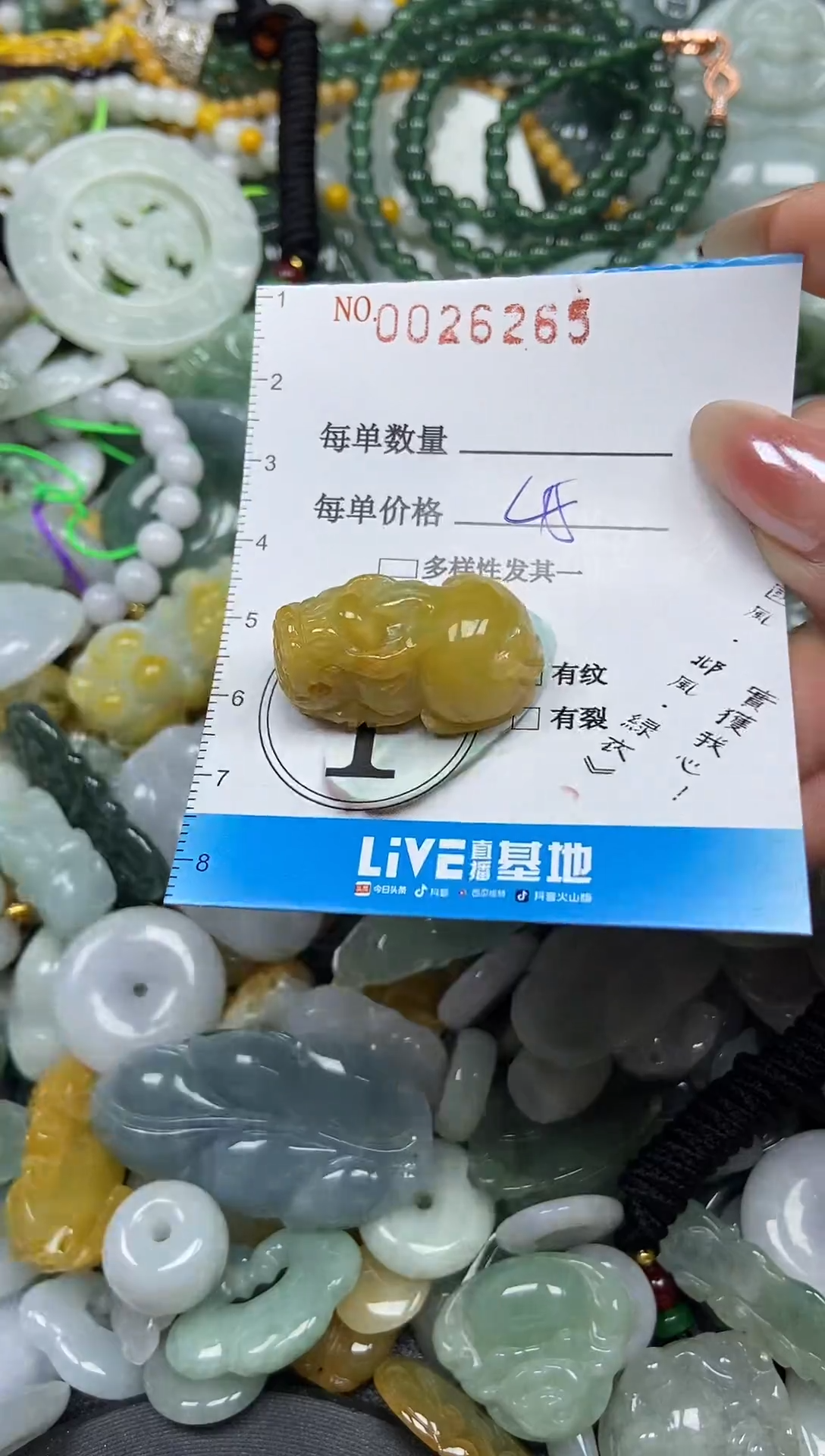 颈饰未镶嵌翡翠026265