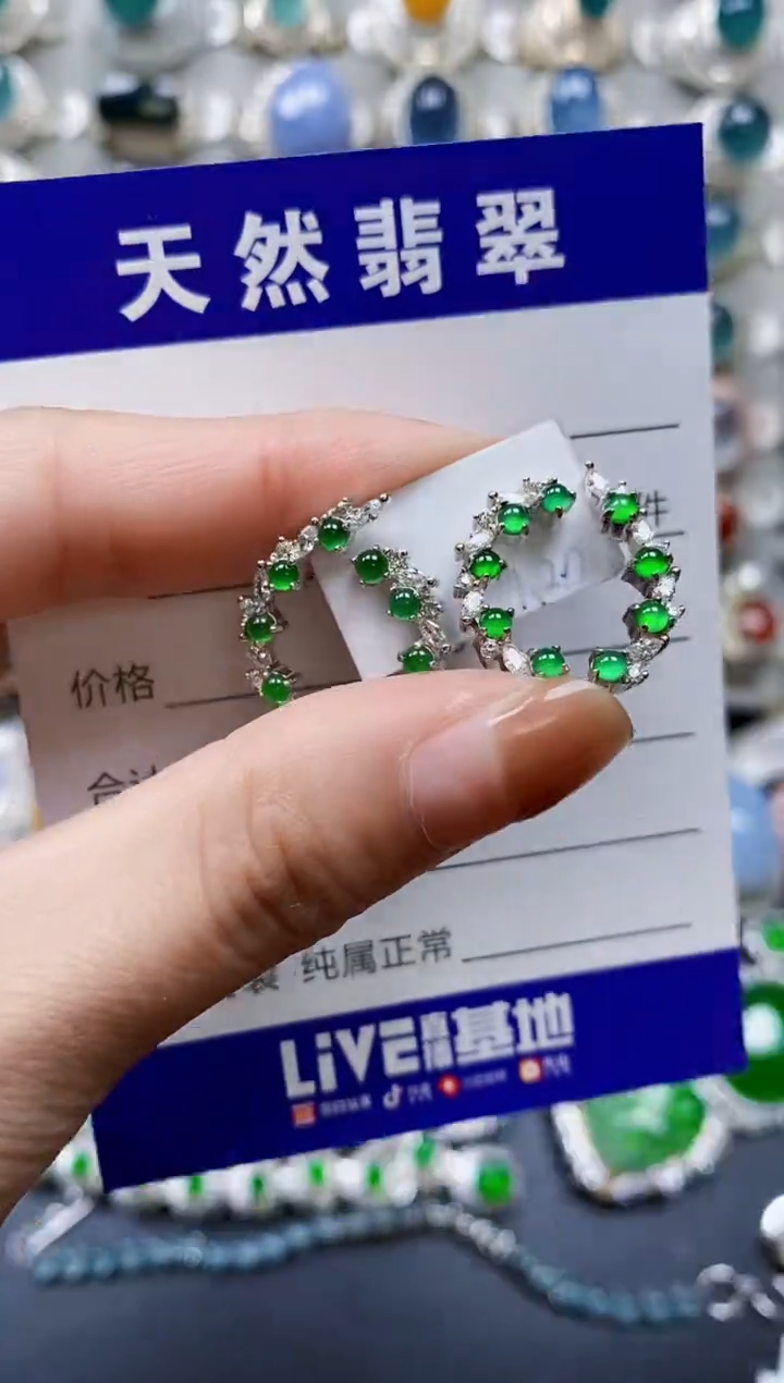 【闪购商品】翡翠耳饰银S925镶嵌0480