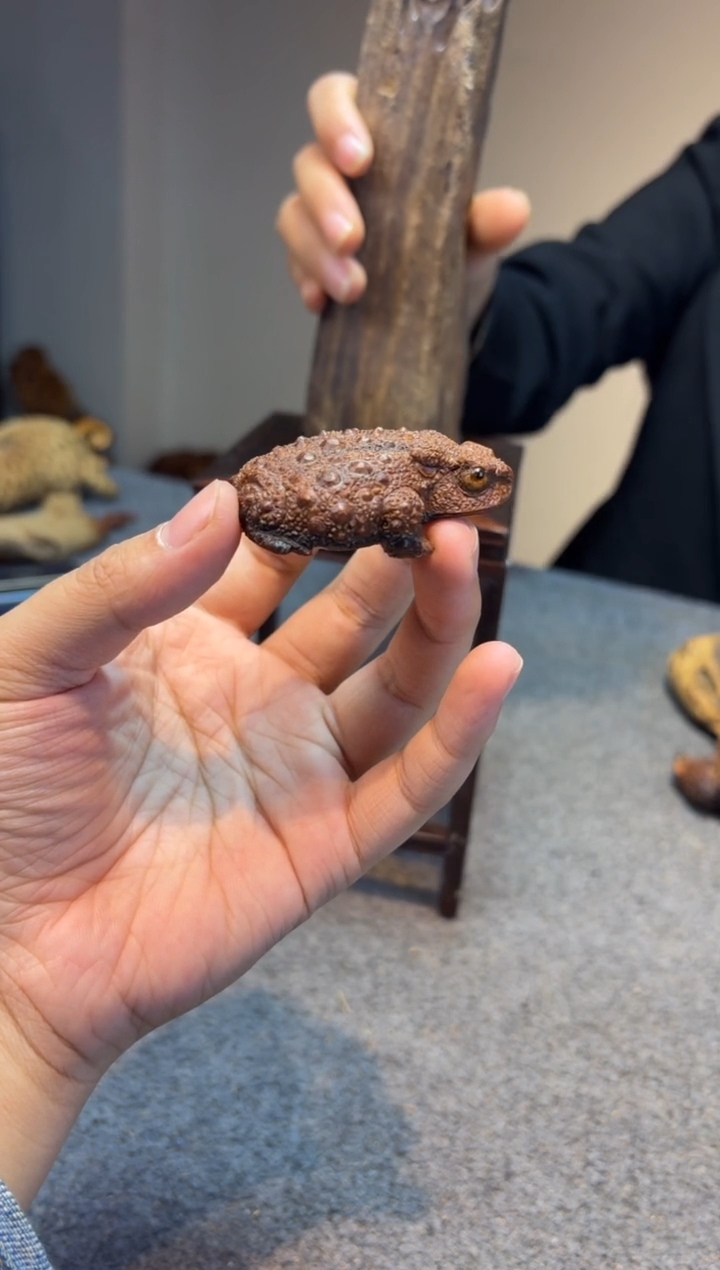 贡木岁**好贡木贡木贡木