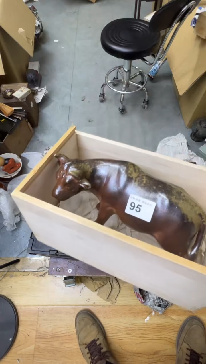 猪**麻095          