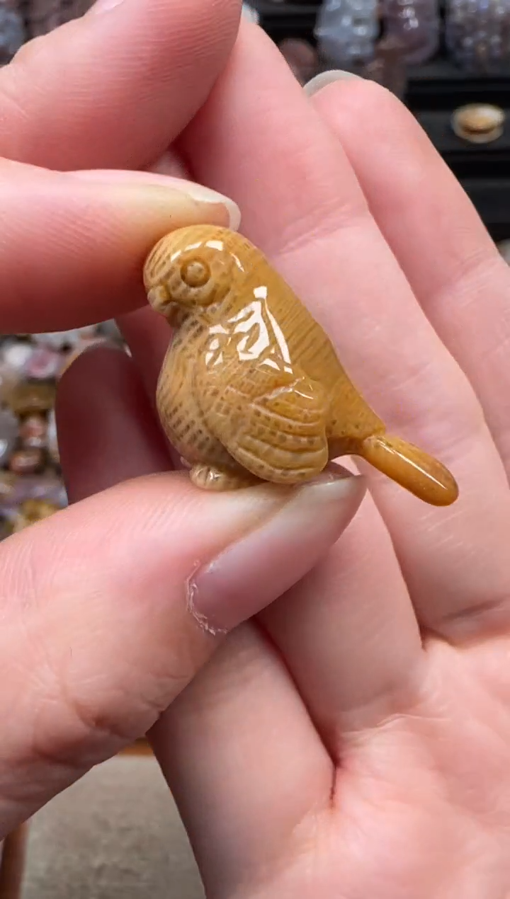 颈饰未镶嵌硅化珊瑚（珊瑚玉）088