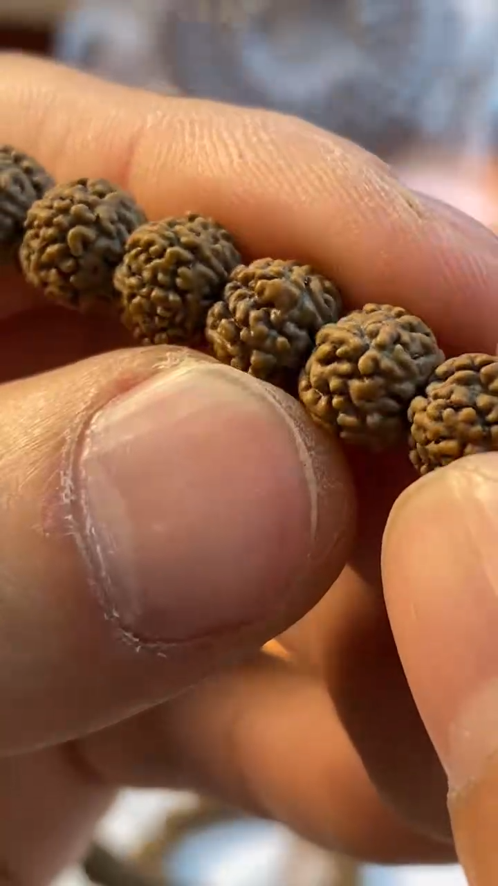 【闪购商品】金刚菩提手串密封定制级灰皮一代龙尺寸6-8