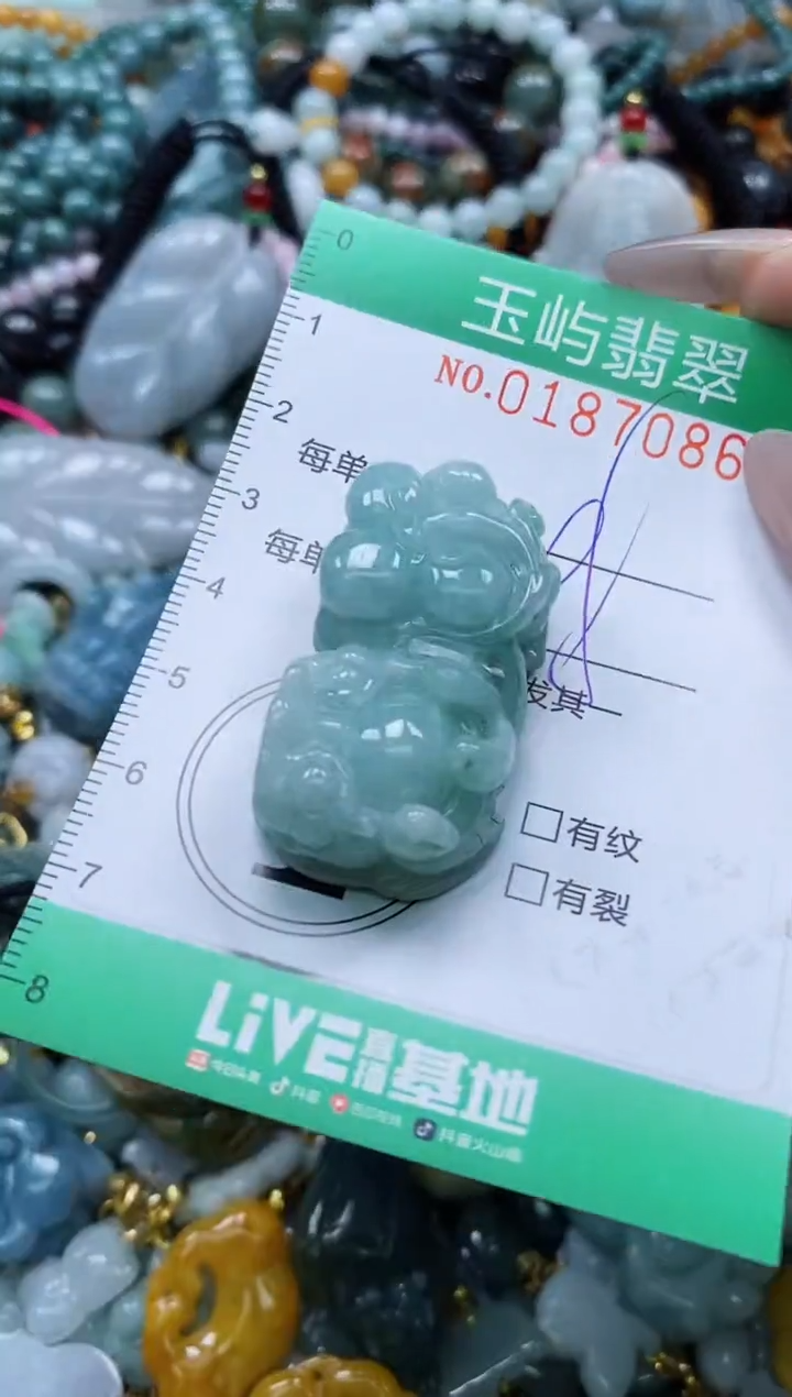 翡翠未镶嵌颈饰闪购0187086