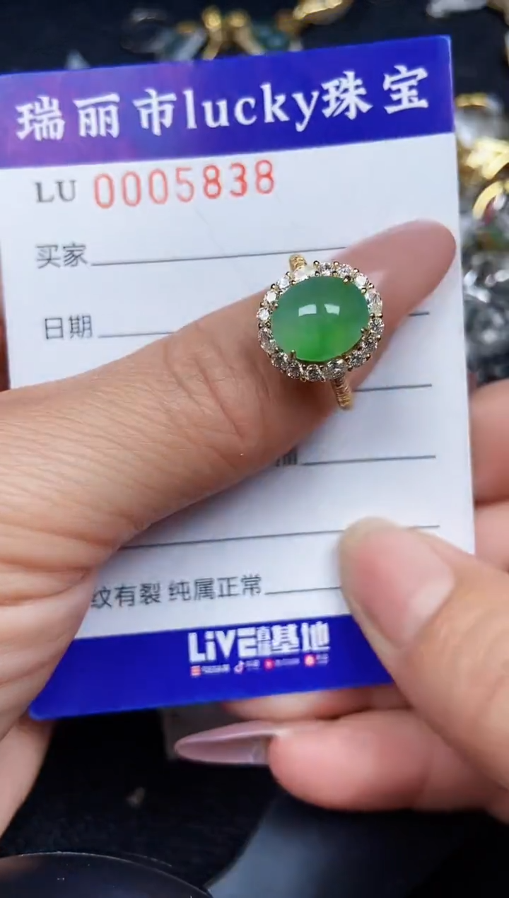翡翠银S925镶嵌颈饰5838