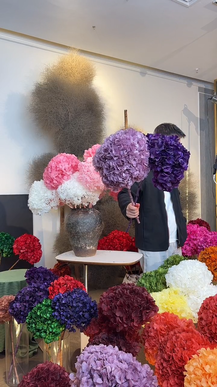 漂色永生大叶绣球2枝  香芋紫1 紫罗兰1