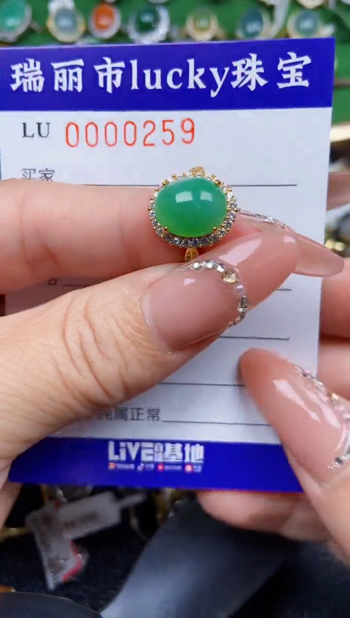 【闪购商品】翡翠颈饰银S925镶嵌0259