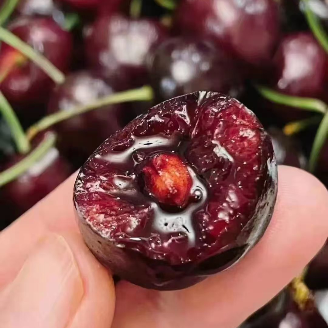 JJJJJD空运车厘子500g内附果径卡