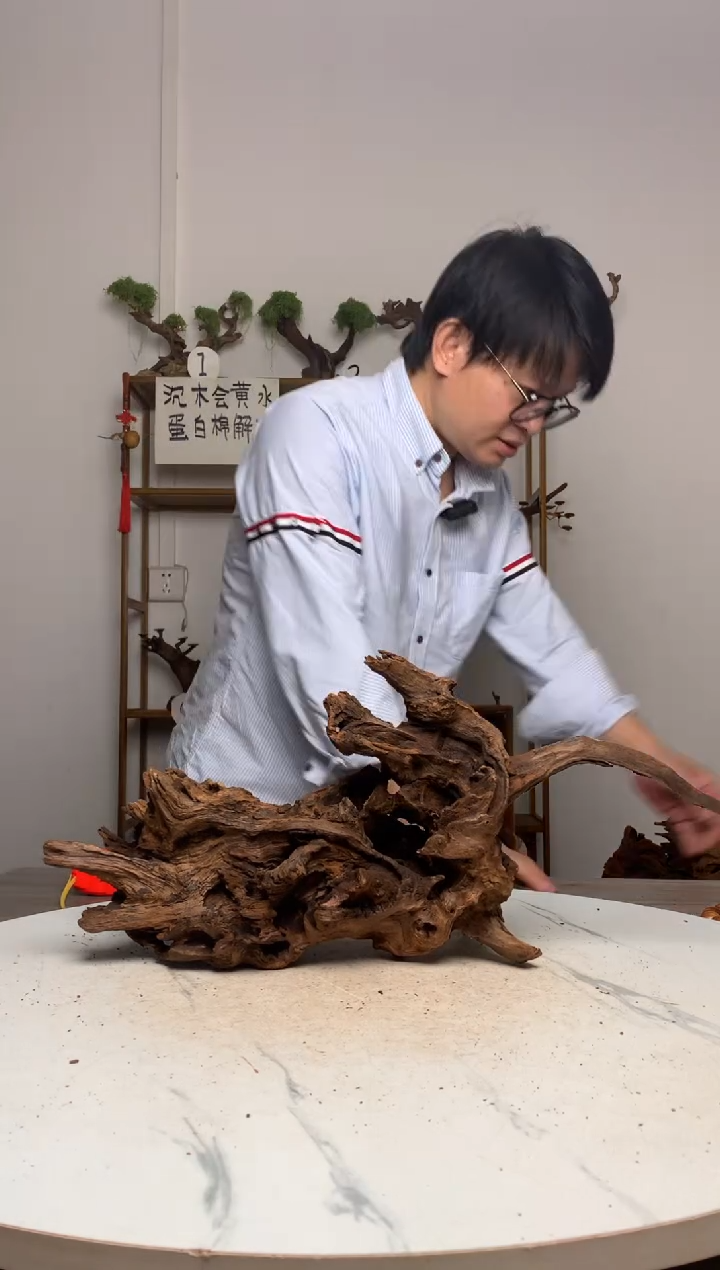 鱼缸造景沉木摆件
