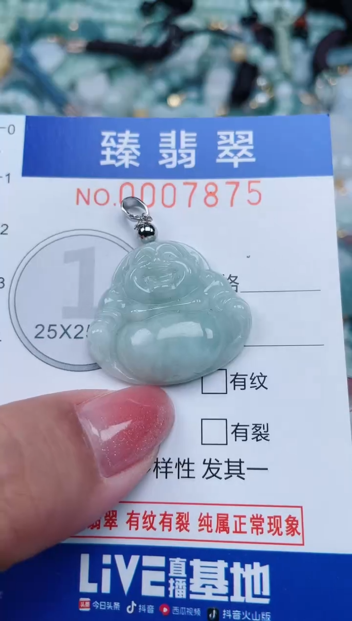 【闪购商品】翡翠颈饰未镶嵌.0007875