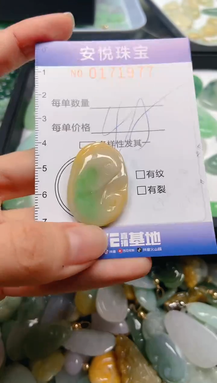 翡翠未镶嵌颈饰闪购0171977