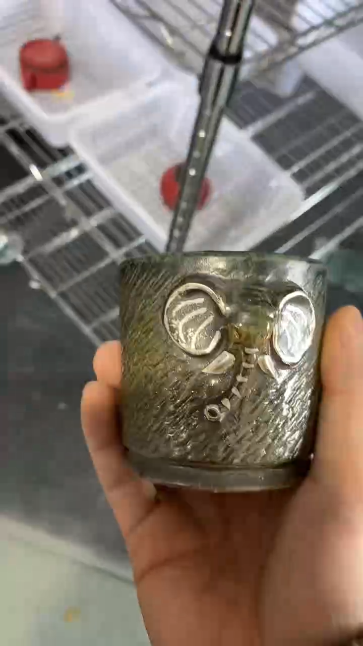 瓷片不带礼盒陶瓷茶具茶器