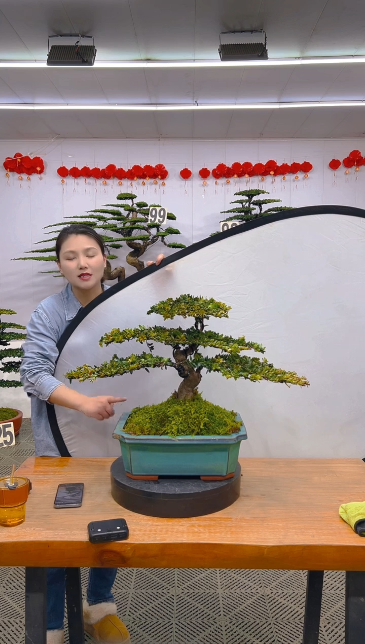 【闪购商品】盆景1