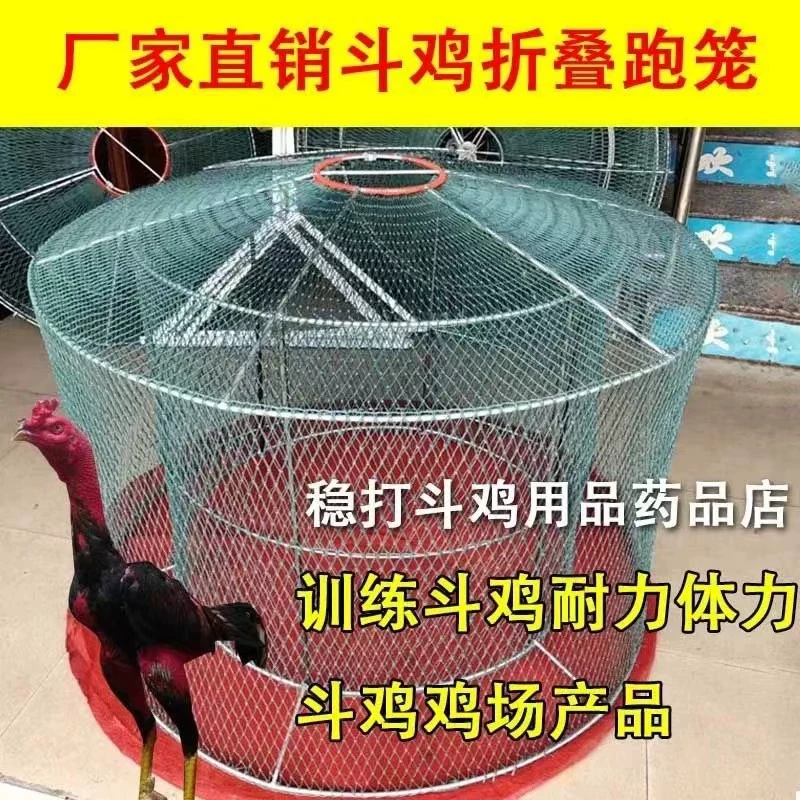 斗鸡折叠跑笼斗鸡笼子斗鸡训练双层笼子